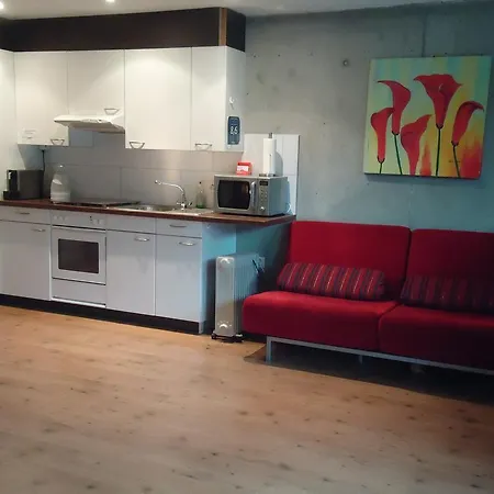 Accommodatie bij particulieren Studios Faoug